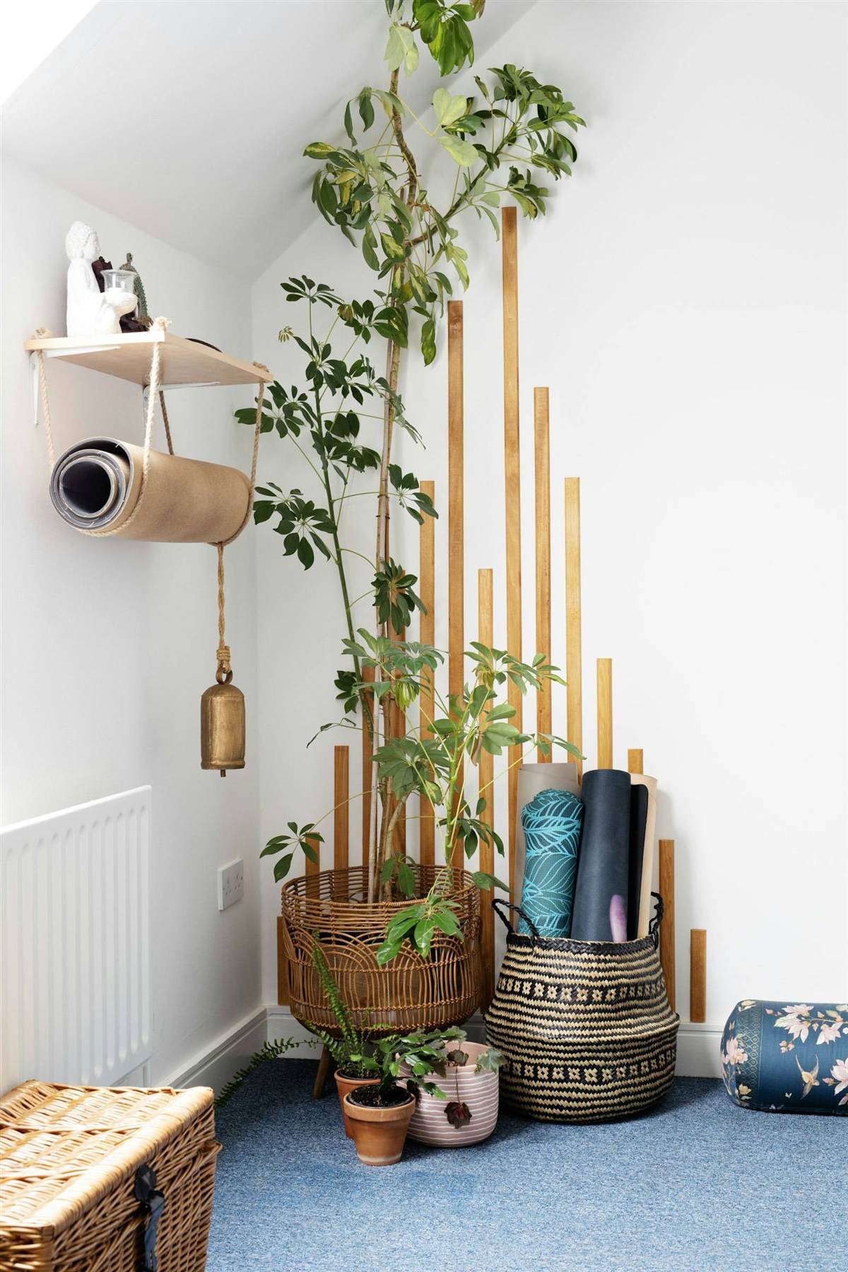 A calm, bright exercise and rehabilitation space with mats and plants
